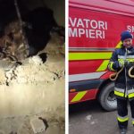 VIDEO/ 15 șerpi au fost scoși de pompieri din subsolul unei grădinițe din satul Cucoara