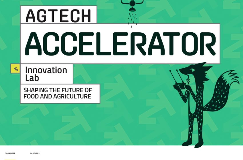  Accelerator AgTech. Un program pentru cei care vor să dezvolte produse și servicii în industria agricolă și alimentară