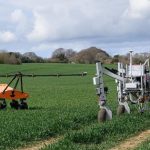 Agricultură într-un mod ecologic. Trei roboţi ajută fermierii să cureţe solul de buruieni şi să planteze