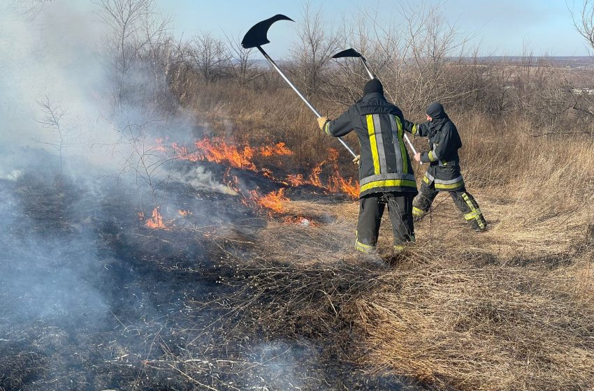  VIDEO/ Incendiu de vegetație în apropiere de șoseaua Balcani. A ars o suprafață de peste 10 hectare