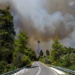 Insula Evia, reîmpădurită după incendiile devastatoare care au afectat Grecia în 2021