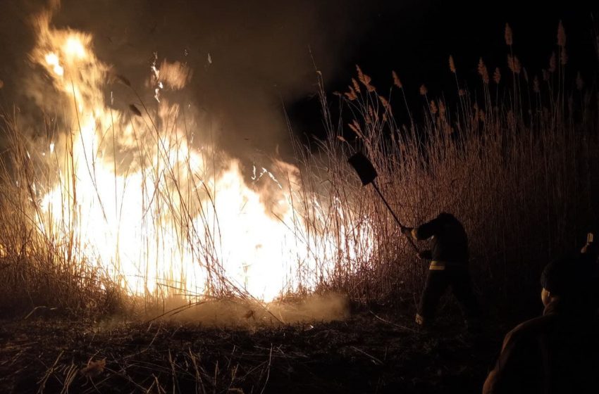  VIDEO/ Incendiu în zona de protecției a Rezervației Prutul de Jos. Au ars aproximativ 100 de hectare de stufăriș