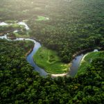 STUDIU/ Pădurea tropicală amazoniană, aproape de punctul de a se transformă în savană. Ce implicaţii aduce această schimbare
