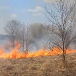 VIDEO/ „Flăcările erau incontrolabile și imprevizibile”. Incendiile de vegetaţie – pericol pentru viaţă, bunuri materiale şi mediu