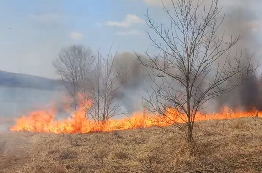  VIDEO/ „Flăcările erau incontrolabile și imprevizibile”. Incendiile de vegetaţie – pericol pentru viaţă, bunuri materiale şi mediu