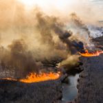 Ucraina: Șapte incendii au izbucnit în pădurea din jurul centralei nucleare de la Cernobîl, ocupată de ruși