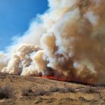FOTO/ Incendiu de vegetație în Capitală: Șapte echipe de pompieri, luptă cu flăcările