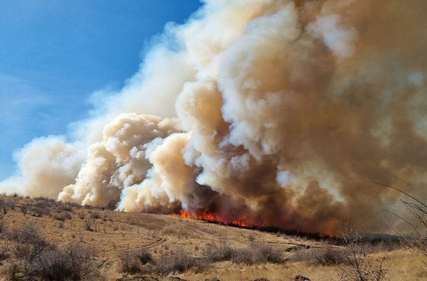  FOTO/ Incendiu de vegetație în Capitală: Șapte echipe de pompieri, luptă cu flăcările
