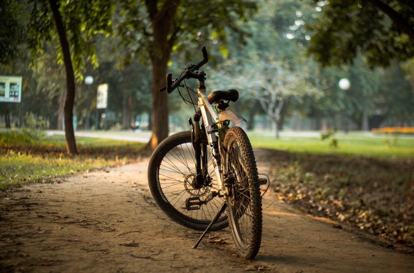  Cei 193 de membri ai ONU se angajează să promoveze utilizarea bicicletei pentru a lupta împotriva încălzirii globale