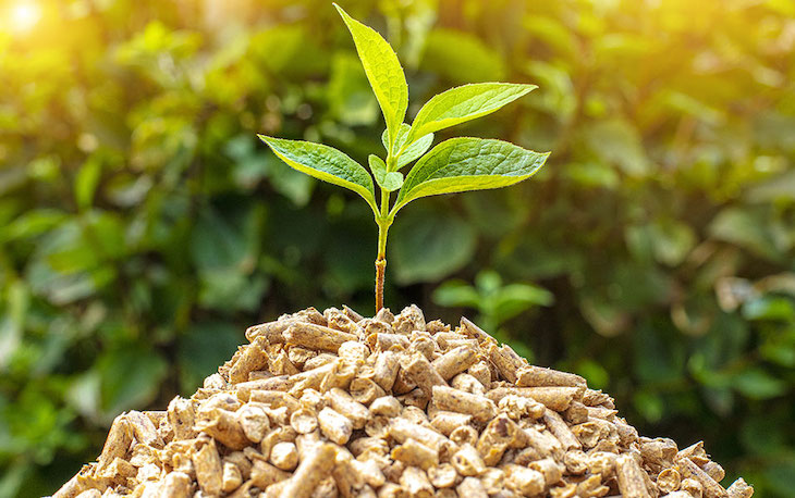  Studiu: Biomasa, singura resursă regenerabilă de energie care poate să înlocuiască resursele neregenerabile