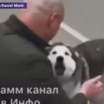 VIDEO/ Revedere emoționantă între un câine și stăpânul său, refugiat din Bucha