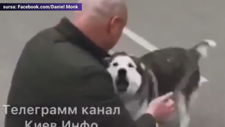  VIDEO/ Revedere emoționantă între un câine și stăpânul său, refugiat din Bucha