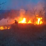 VIDEO/ Leușeni: 100 de hectare de vegetație au fost mistuite de flăcări