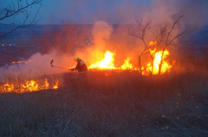  VIDEO/ Leușeni: 100 de hectare de vegetație au fost mistuite de flăcări