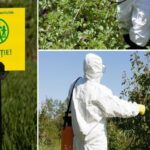 Pesticidele, pericol pentru sănătate și mediu. Câte persoane s-au intoxicat de la începutul anului