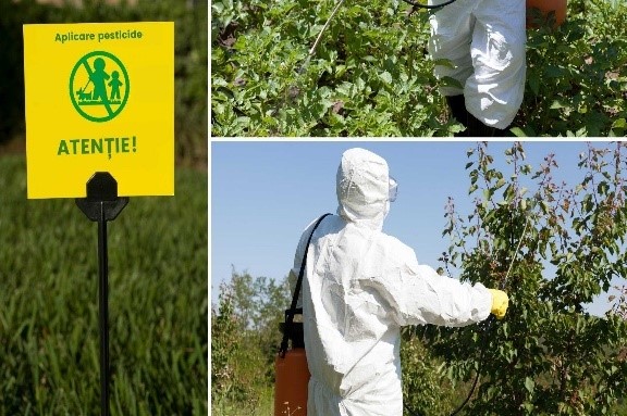  Pesticidele, pericol pentru sănătate și mediu. Câte persoane s-au intoxicat de la începutul anului
