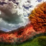 Europa în luptă cu flăcările – focare masive de incendii în mai multe țări, inclusiv România