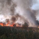 Încă un incendiu. A ars vegetația pe 100 ha de pământ lângă Rezervația biosferei „Prutul de Jos”