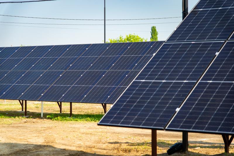  Agricultorii trec la energie verde. Un sistem fotovoltaic a fost inaugurat în cadrul unei companii care exportă fructe în UE