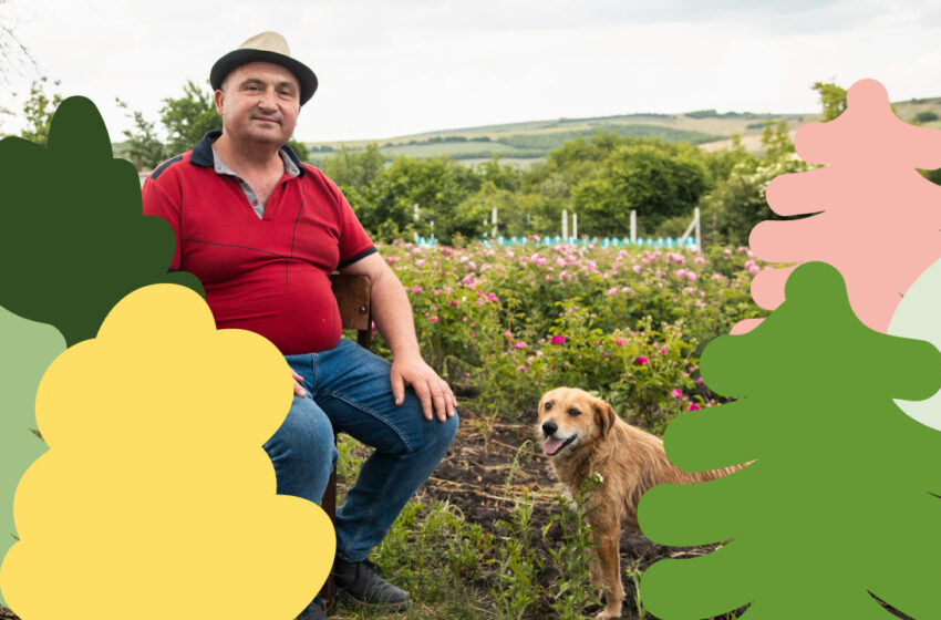  #PoveștiDinECOmunitate | Victor Melnic și farmacia lui verde din satul Dobrogea