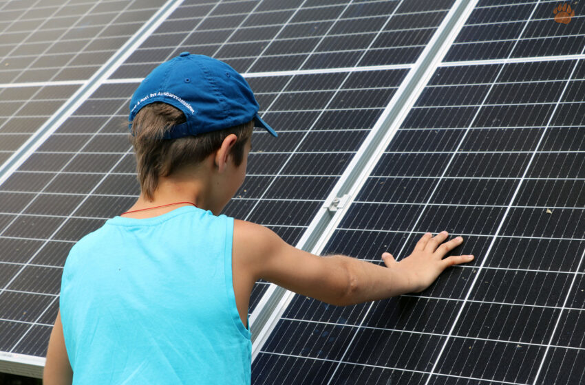  Profesor Valentin Arion: „Un viitor energetic sigur am putea avea doar folosind energiile regenerabile”