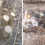 Tăierile ilegale, în vizorul inspectorilor de mediu din Leova