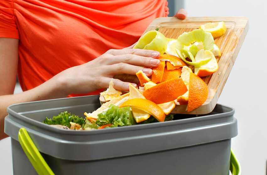  Fără mormane de gunoi sau cum deșeurile din bucătărie pot deveni compost