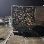 Un nou lot cu lemn de foc din România a ajuns în Republica Moldova