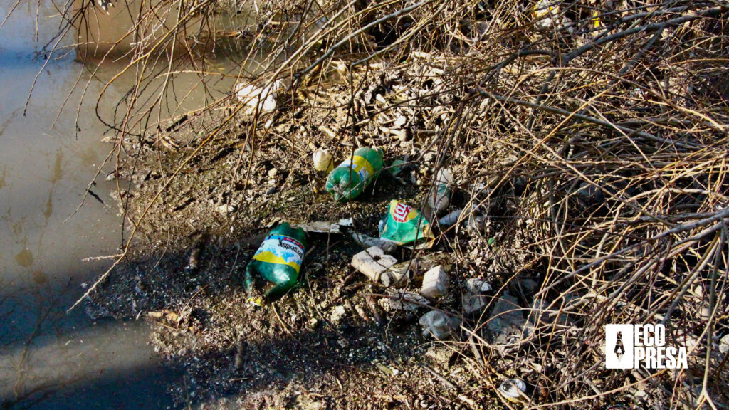 Deșeuri de masă plastică pe malul Lacului „La Izvor”. Arhiva personală