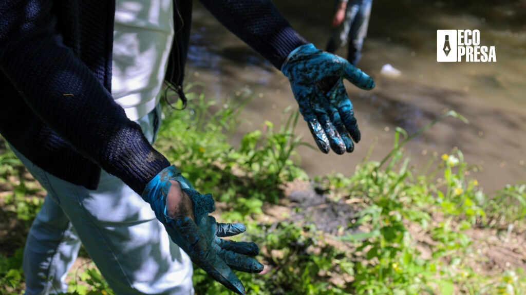 Rodul muncii din curățarea râului Bâc