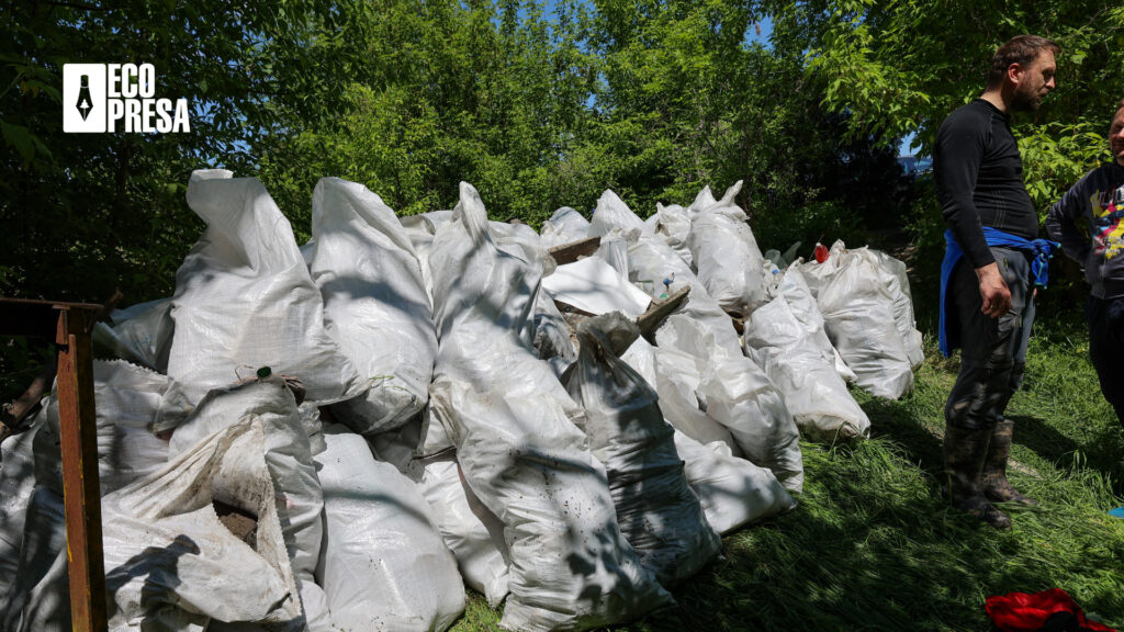 Saci de gunoie scoase din râul Bâc