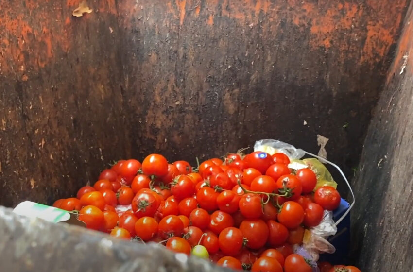  FOTO/VIDEO: În loc să umple farfuria unui nevoiaș, ajung la gunoi. Cum prevenim risipa alimentară?
