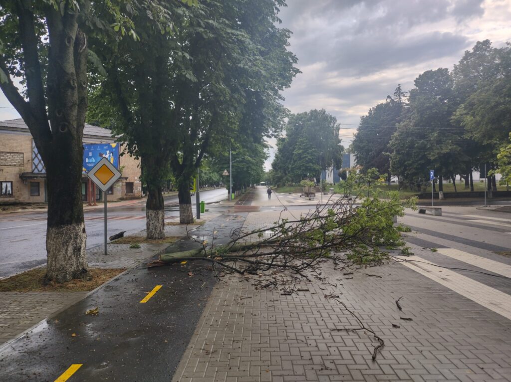 Copaci căzuți în urma ploilor din 18 iunie în orașul Ungheni. Foto: News.Ungheni.org