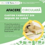 Cartonul din deșeuri de iarbă – o alternativă ecologică a ambalajelor din plastic. Cum se obține?