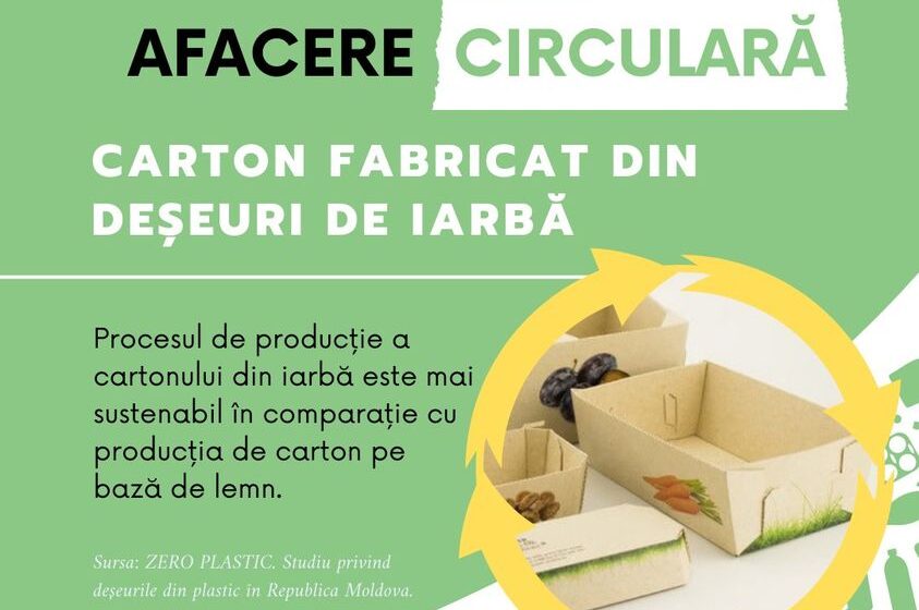  Cartonul din deșeuri de iarbă – o alternativă ecologică a ambalajelor din plastic. Cum se obține?