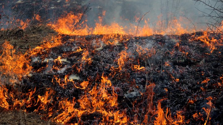  FOTO/VIDEO: Pericol de incendii, un nou cod galben. Focul a mistuit sute de hectare chiar în acest weekend