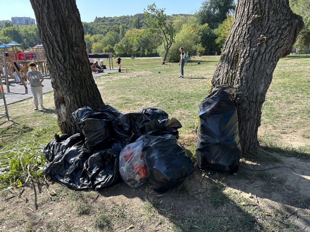 Saci cu deșeuri colectate din Parcul Valea Morilor