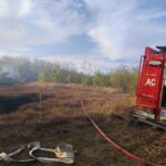 FOTO/VIDEO: O țigară aprinsă a provocat un incendiu de proporții la Ștefan Vodă! Focul a afectat o pădure tânără în apropiere de Nistru