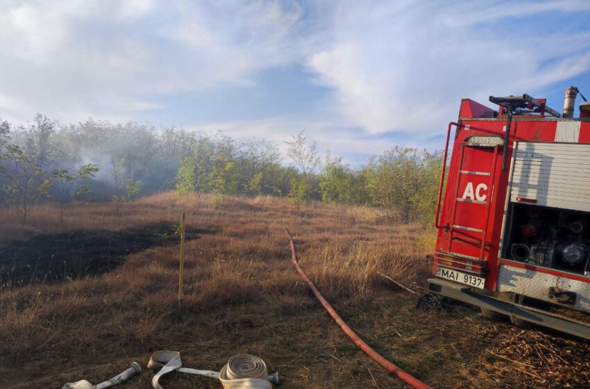  FOTO/VIDEO: O țigară aprinsă a provocat un incendiu de proporții la Ștefan Vodă! Focul a afectat o pădure tânără în apropiere de Nistru
