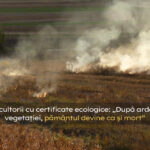 Agricultorii cu certificate ecologice: „După arderea vegetației, pământul devine ca și mort”