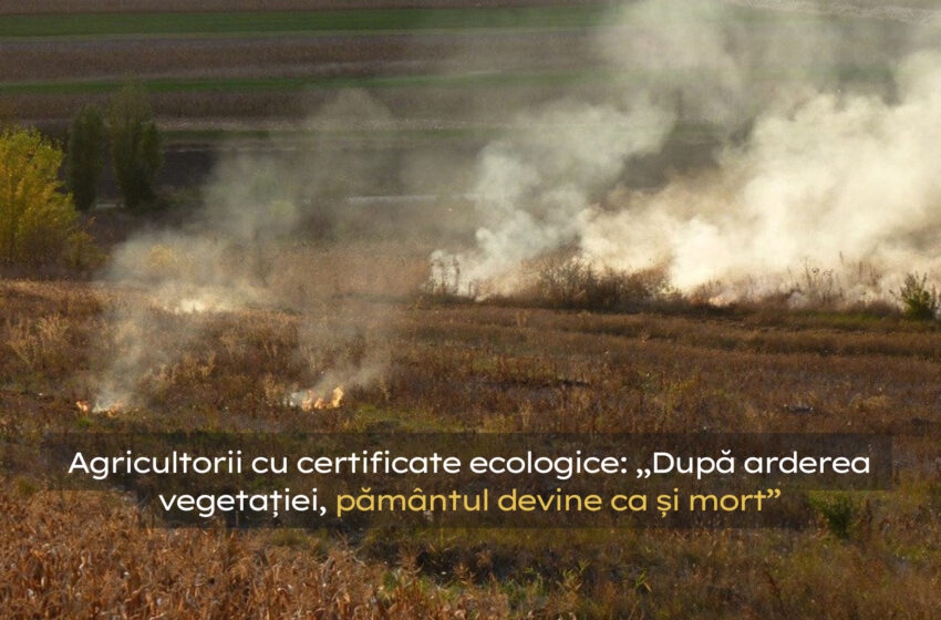  Agricultorii cu certificate ecologice: „După arderea vegetației, pământul devine ca și mort”