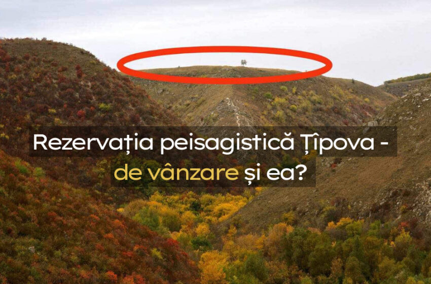  Rezervația peisagistică Țîpova – de vânzare și ea?