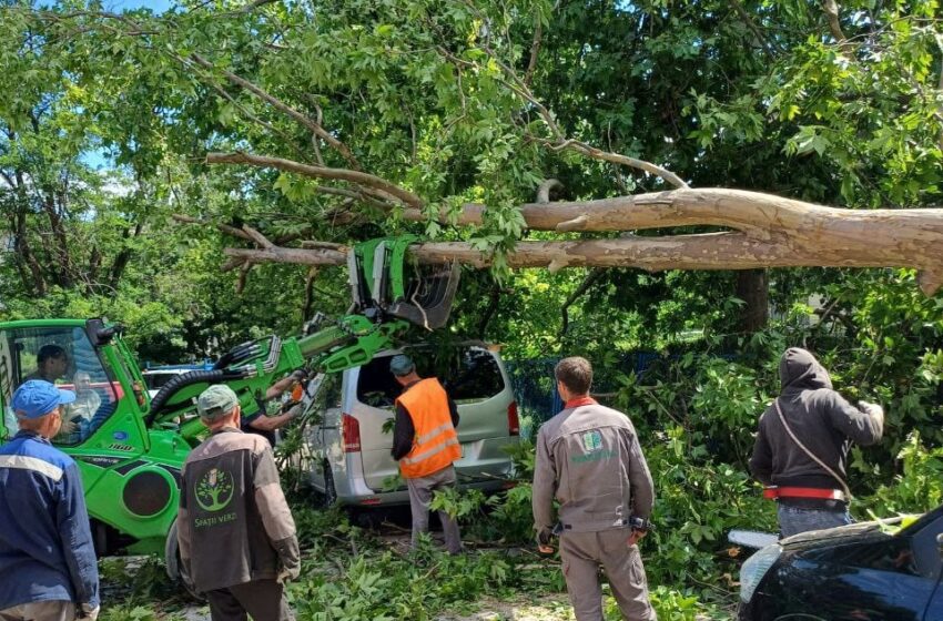  Continuă înlăturarea consecințelor furtunii din 11 iunie. Autoritățile au anunțat două decese, în Chișinău a fost instituită situație de forță majoră