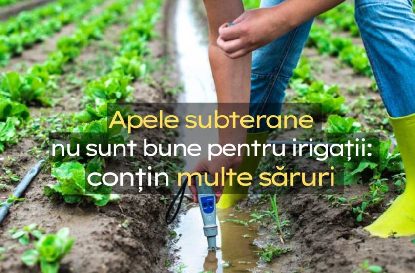  Semnal de alarmă! Utilizarea apelor subterane pentru irigații nu trebuie admisă: va conduce la degradarea solurilor