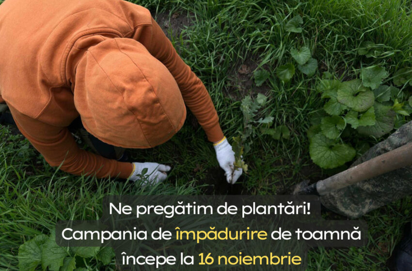  Suntem invitați să plantăm copaci în toată țara! La 16 noiembrie începe campania de împădurire de toamnă 2024 