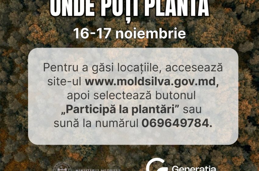  Un an cu „Generația Pădurii”! Participi la împădurirea din 16-17 noiembrie? Iată cum alegi terenul pe care vei planta copaci