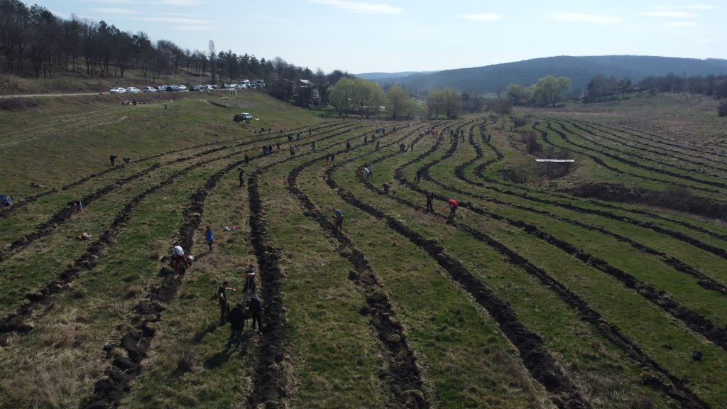 Plantare în satul Bălțata în aproperea râului Bălțata. Sursa foto: Plantăm fapte bune în Moldova