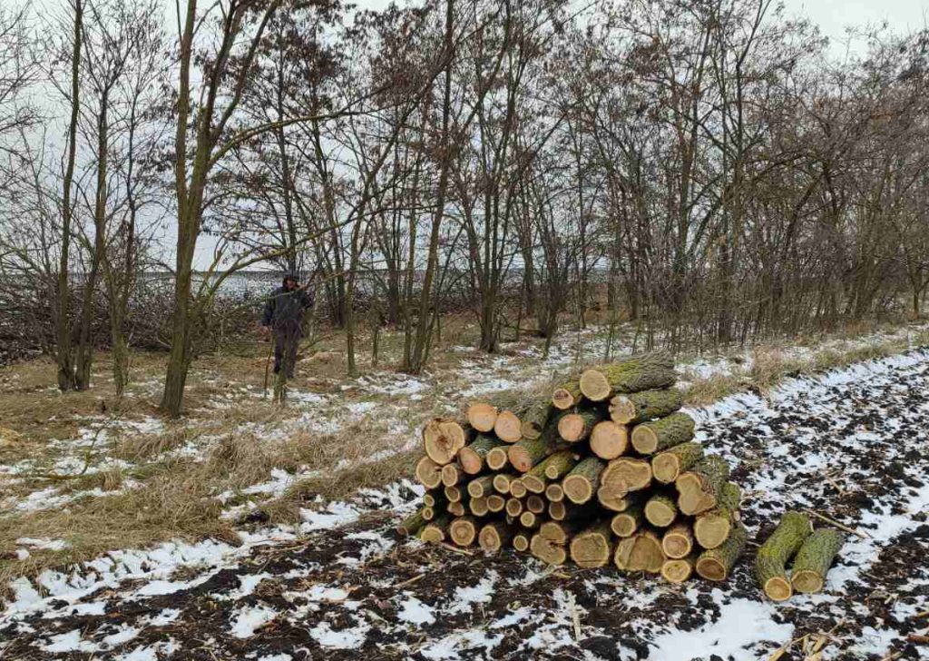 Sursa foto: Inspectoratul pentru Protecția Mediului