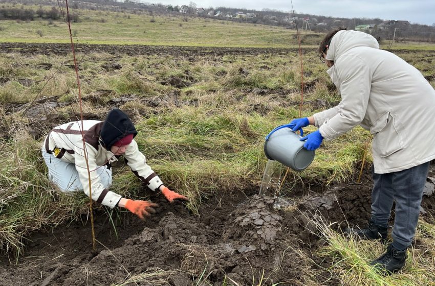  Vremea schimbă planurile: startul plantărilor de primăvară, amânat pentru 15 martie