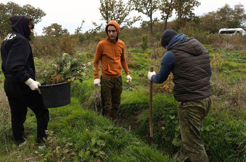  „Generația Pădurii” în 2025: S-a dat startul campaniei de împădurire de primăvară: vor fi plantate 8 milioane de puieți pe 3.500 de hectare